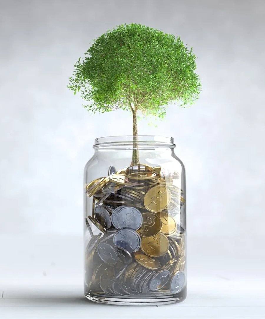 Wealth accumulated over time