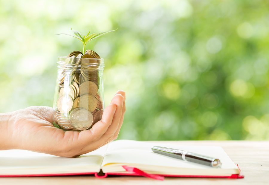 Startup & Business Structuring